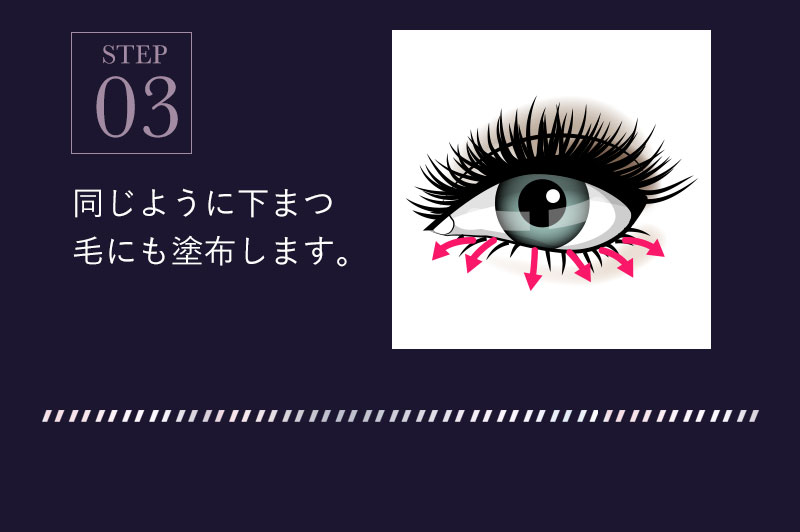 STEP3 同じように下まつ毛にも塗布します。