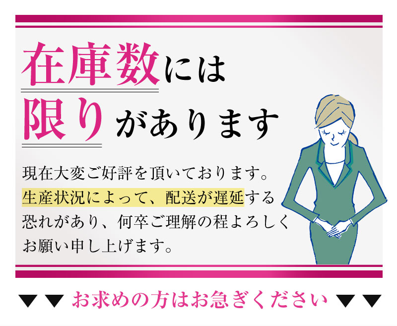 在庫数には限りがあります。お求めの方はお急ぎください